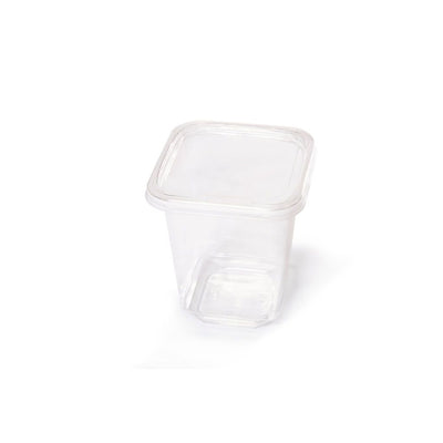 Deli Containers – Perfection Products