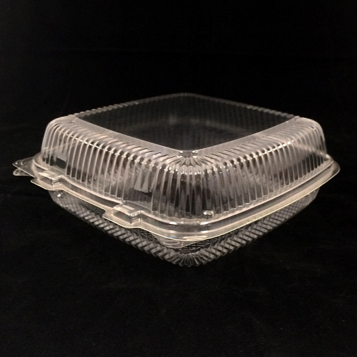 10″ Clear Hinged Container (Deep)